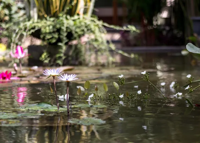 Hidden Padma Retreat Hotel Ubud (Bali)